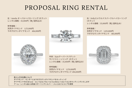 [Rental item] Proposal ring rental (7 nights and 8 days)