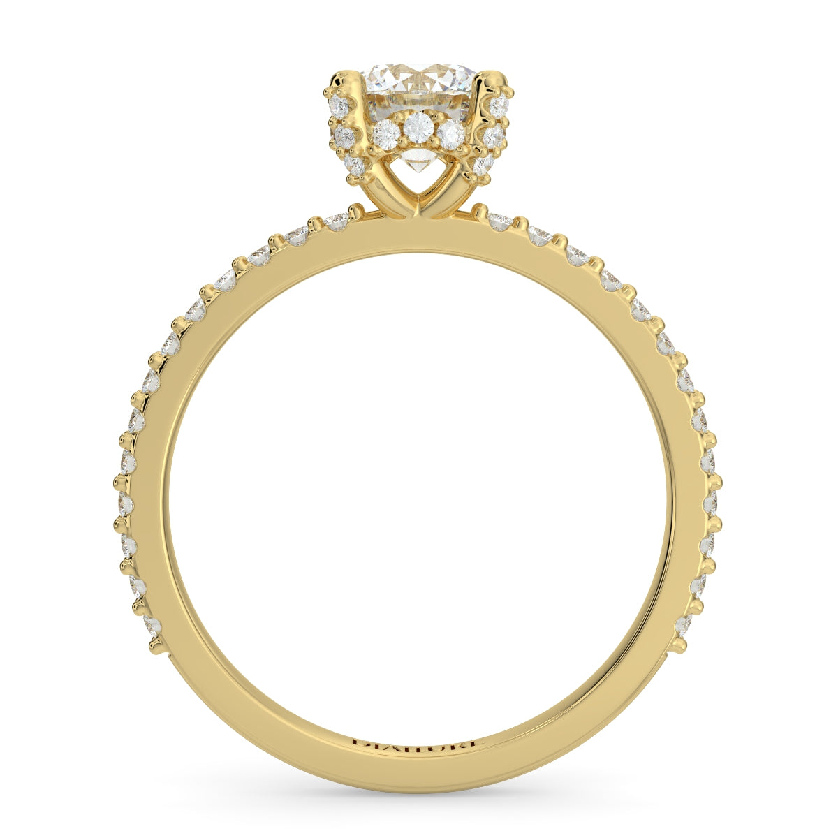 戴安娜 (Diana) 密镶圆形明亮式切割钻石戒指